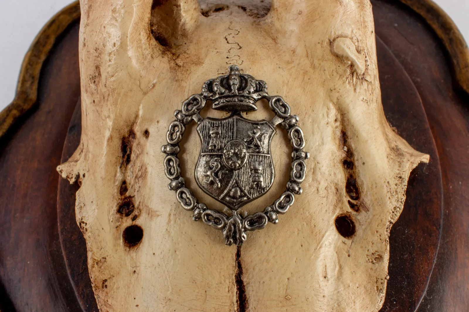 19th Century Spanish Habsburg Roe Trophy on Hand Carved Gilt Wood Plaque