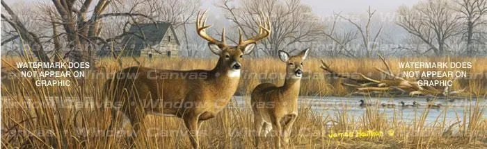 Our Side of the River Rear Window Decal
