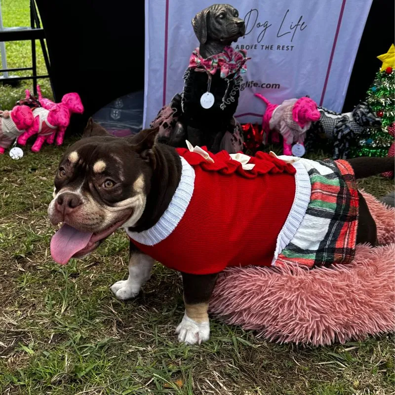 Red Christmas Bow Sweater Dog Dress